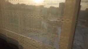 Обморозились пеларгонии. Как спасаю.