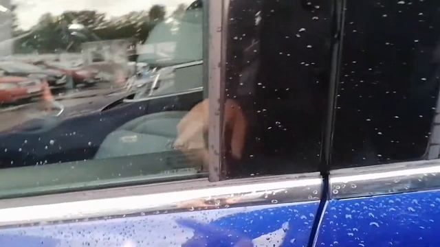 Ford Kuga 2017