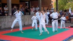 Показательные выступления каратистов