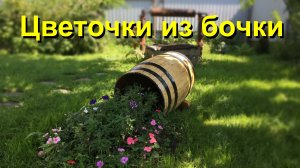 Бочка клумба своими руками. Очень красивое украшение для сада или газона