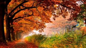 Сергей Чекалин | музыка для души осень #легенда #чекалин #music22 #музыкадлядуши