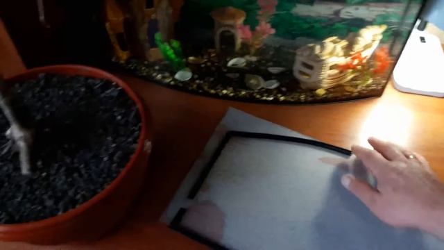 Крышка на аквариум из стекла