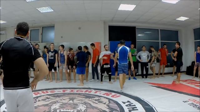 Бои белых воротничков 5 тренировка