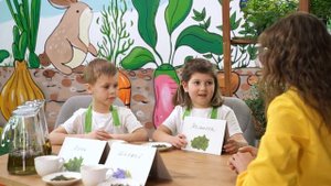 КАК ПОСЕЯТЬ МЕЛИССУ ИЗ СЕМЯН | Выращивание пряных трав и зелени дома вместе с детьми