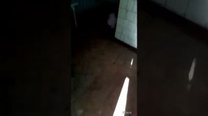 Платная палата инфекционной больницы.