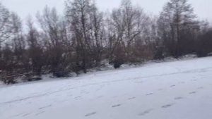 Рыбалка за огородами! Щука есть! Ловим на жерлицы в микро речке