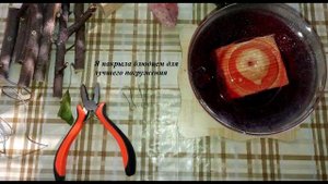 DIY Как сделать ИГРУШКУ-ПОГРЫЗУШКУ для ШИНШИЛЛ своими руками!