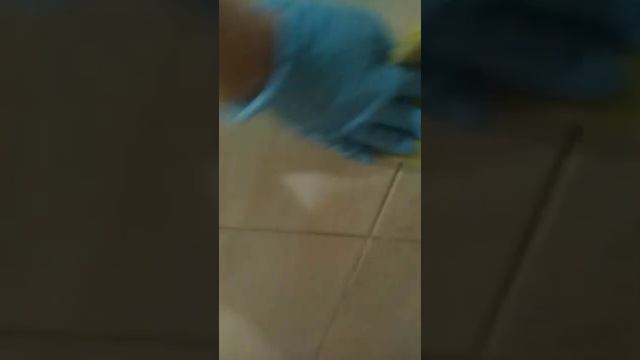 Как избавиться от плесени дома? Заказать/купить смотреть онлайн