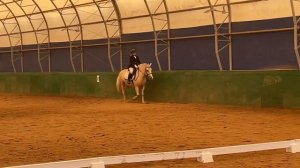 ВЛОГ Соревнования по конному спорту Ани / выездка 2 место / праздник в Новополье