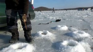 Зимняя рыбалка в январе на о.Русском (б.Рында). Пригород Владивостока