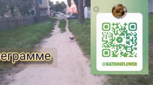 Фея приглашает всех желающих на наши каналы 🖐🐕❤️