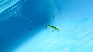 Zip Baits Rigge 90 Sp underwater footage and lure action