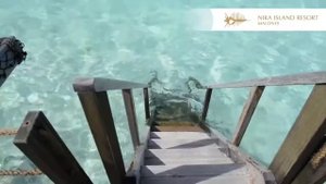 Nika Island Resort & Spa, Maldives 5* - Ника Исланд Резорт энд Спа - Мальдивы | обзор отеля, пляж