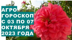 Агрогороскоп с 03 по 07 октября 2023 года. Agrohoroscope from October 03 to October 07, 2023