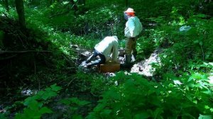 Родник. Обустройство. Пчеловодство.Нефтекамск.