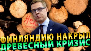 Без российского леса Финляндию накрыл «древесный кризис»