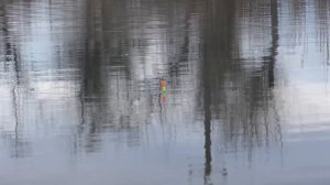 НОВЫЙ ПОПЛАВОК КАРАСЬ В РОГОЗЕ