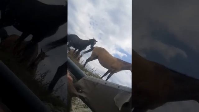 Грозовые Ворота! ⚡️ ГЕЛЕНДЖИК ⚡️ Краснодарский Край!