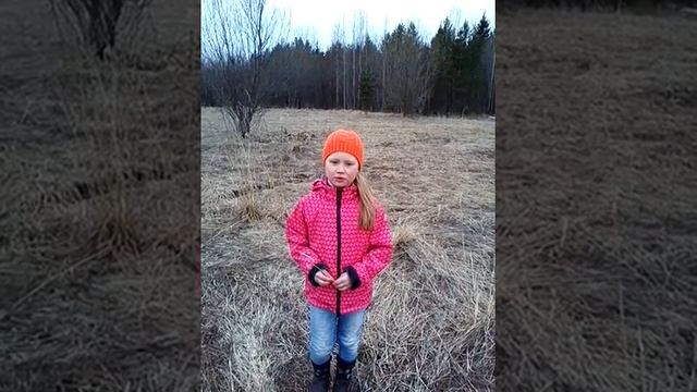 Иван Никитин «Полюбуйся: весна наступает»