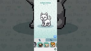 Pixel petz \Помощь новичкам в пиксель петз\ Помощь начинающим игрокам в pixel petz /1 часть
