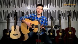 Greg Bennett GD-50 Acoustic Guitar