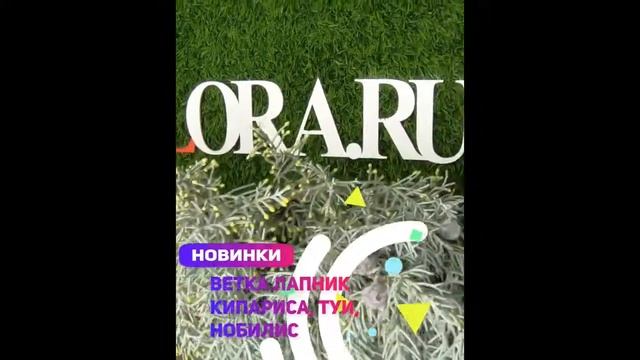 Новинки #2FLORA - ветка лапник кипарис???⛄ смотреть онлайн