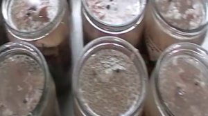 холодец длительного хранения.