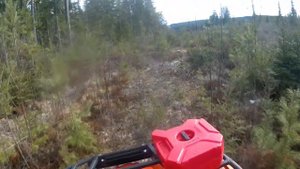 Cforce 450 eps