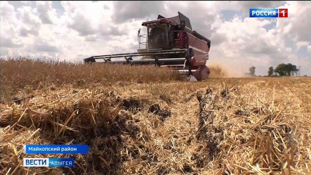 В Адыгее идёт уборка озимых зерновых