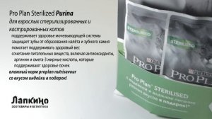 ПРОПЛАН (Pro Plan) Sterilized Purina // Ветаптека и зоотовара Лапкино ( Петшоп 78 )