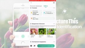 PictureThis - приложение для определения растений. Алефиров А.Н.