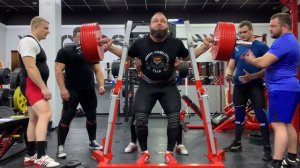 Луговой Александр - Присед 390х3