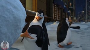 мадагаскар rytp