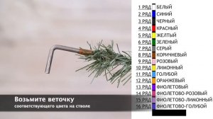 Сборка искусственных елей ЕлкиТорг с по-веточной системой крепления.
