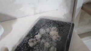 Тестируем контейнер для #инкубации | Улиточная икра | Снэйлсэко Беларусь