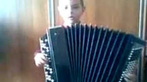 баян Лявониха