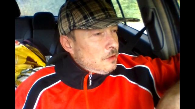 Пока перерыв. 30 кошек в кадре и есть потери. Хутор LV смотреть онлайн