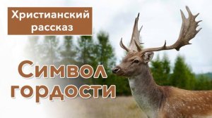 ? Символ гордости - ИНТЕРЕСНЫЙ ХРИСТИАНСКИЙ РАССКАЗ | Христианские рассказы