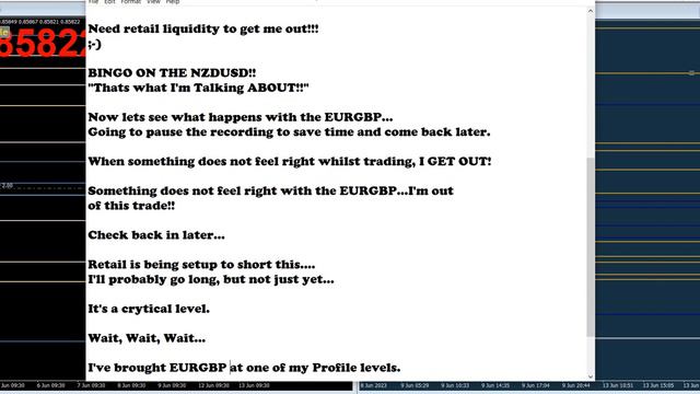 EURGBP And NZDUSD Trade 13 06 23