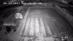 Как показывают камеры HIKVISION серии DarkFighter и LightFighter