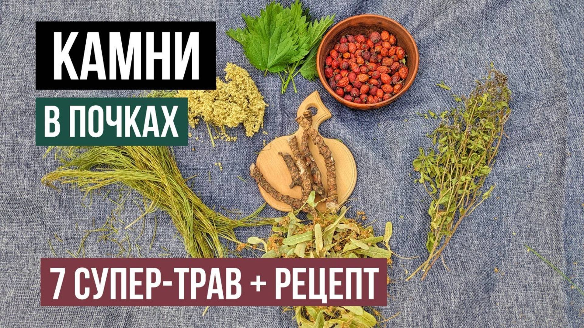 Мощные травы от камней в почках Как дробят и лечат камни в народе?