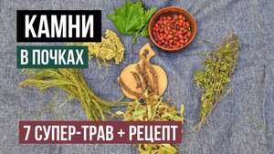 Мощные травы от камней в почках Как дробят и лечат камни в народе?
