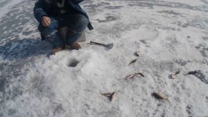 оз.Наливное. Рыбалка в Хакасии 2016.г 2