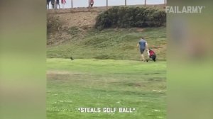 Outdoors and in Trouble - Fails of the Week   FailArmy