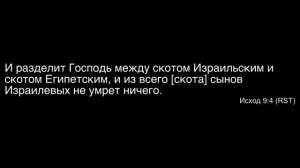 21. Божья повесть_ Сердце фараона (Исход 7-9) – Проповедь Виталия Олийника 22.08.mp4