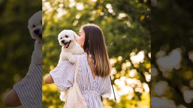 Goodnight Hug Piano Slumber смотреть онлайн