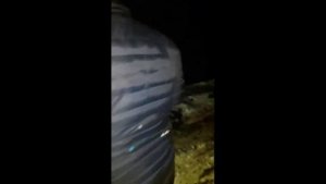 Егерь неадекват  -открыл огонь с карабина...