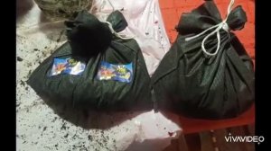 Первая продажа червя