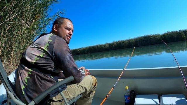 Балхаш, Завидово 4к. Рыбалка на сазана. смотреть онлайн