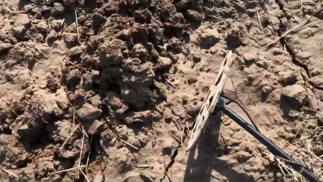 Очередной Коп с Minelab VANQUISH 540 PRO-PACK Ванквиш 540 #коп2021 смотреть онлайн